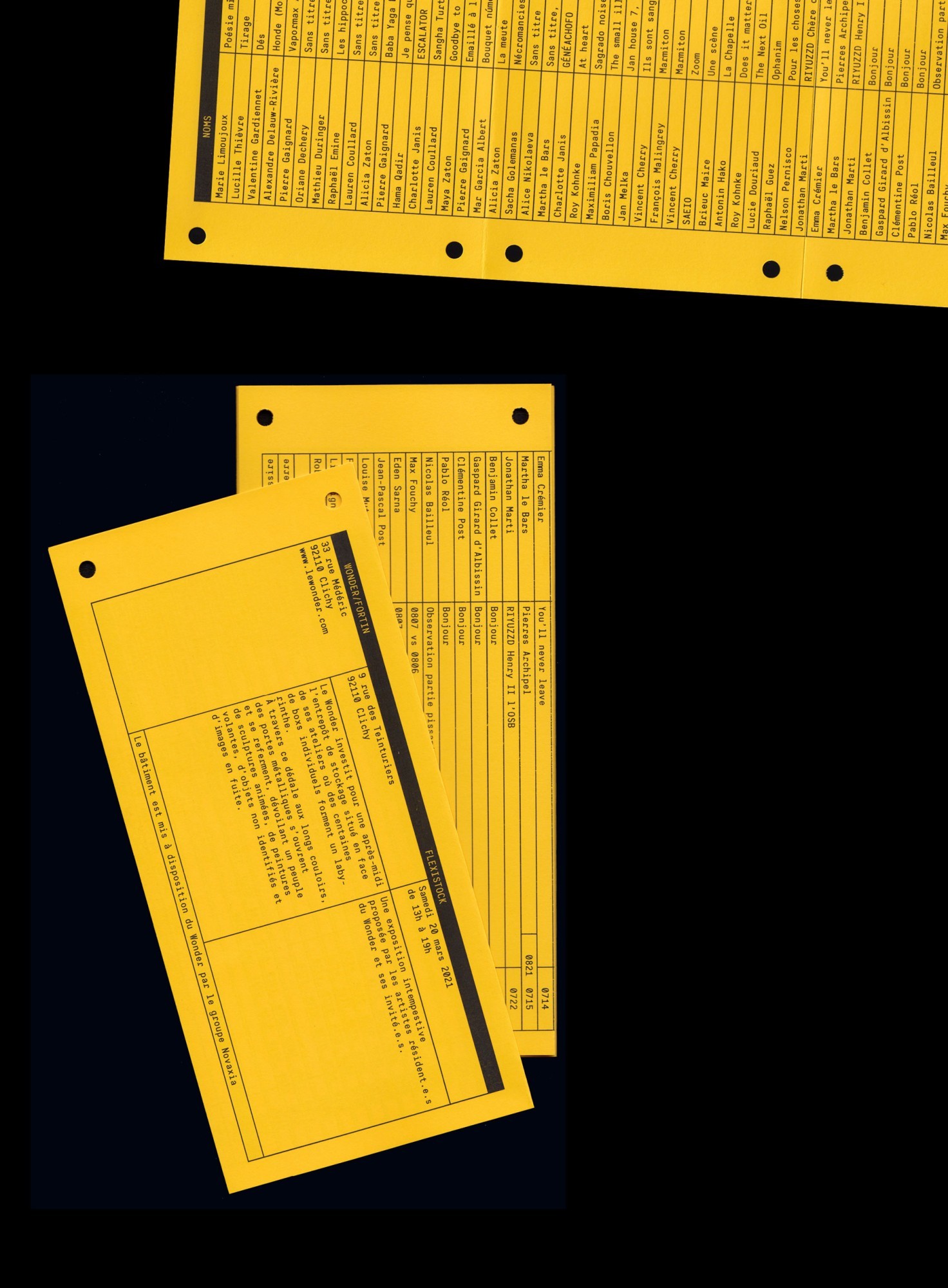 *Flexistock*, exhibition document, 21 × 9,8 cm, Wonder/Fortin, Clichy, 2021