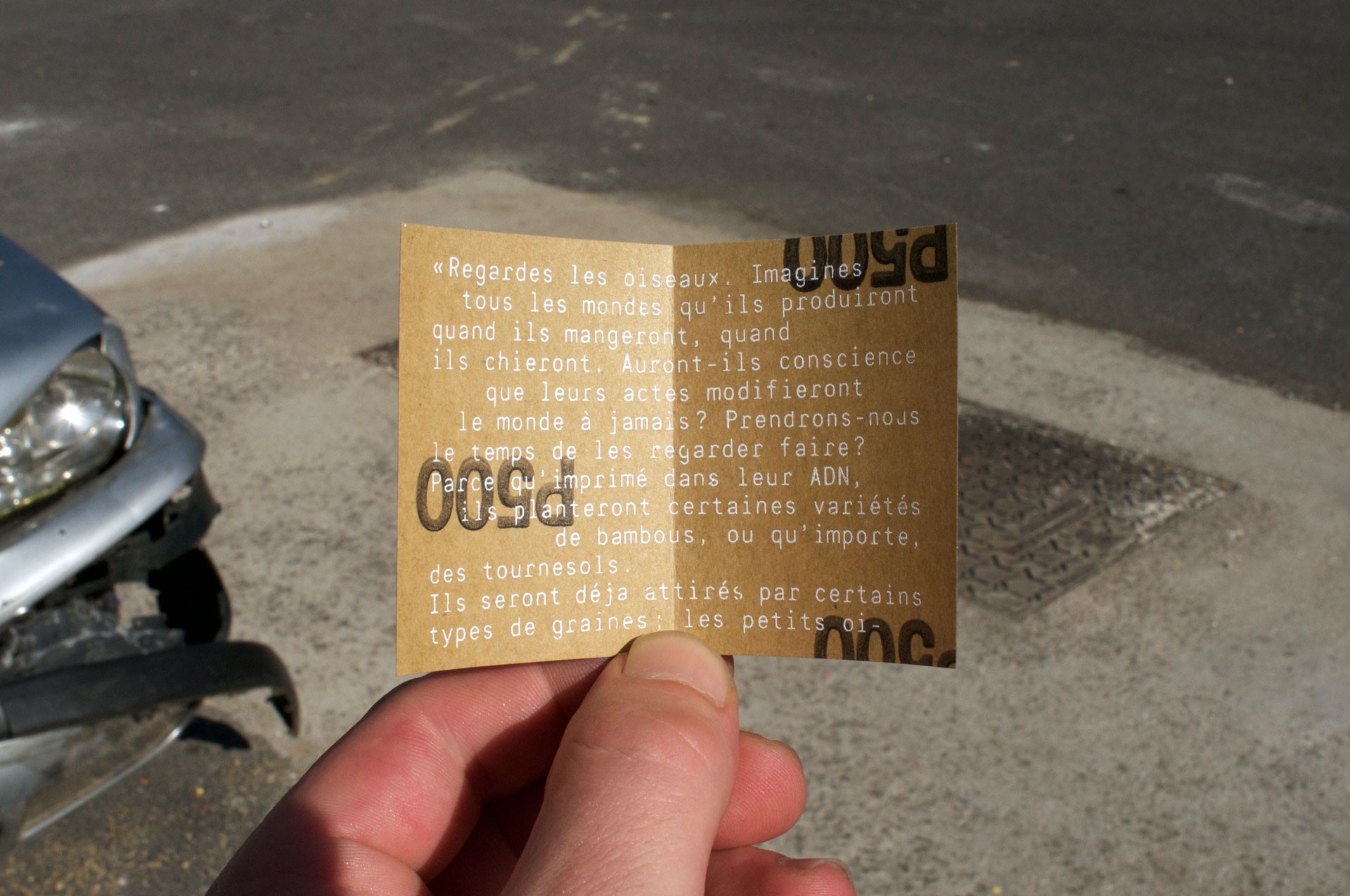 *Genius Loci*, exhibition cards, Wonder/Liebert, Bagnolet, 2017