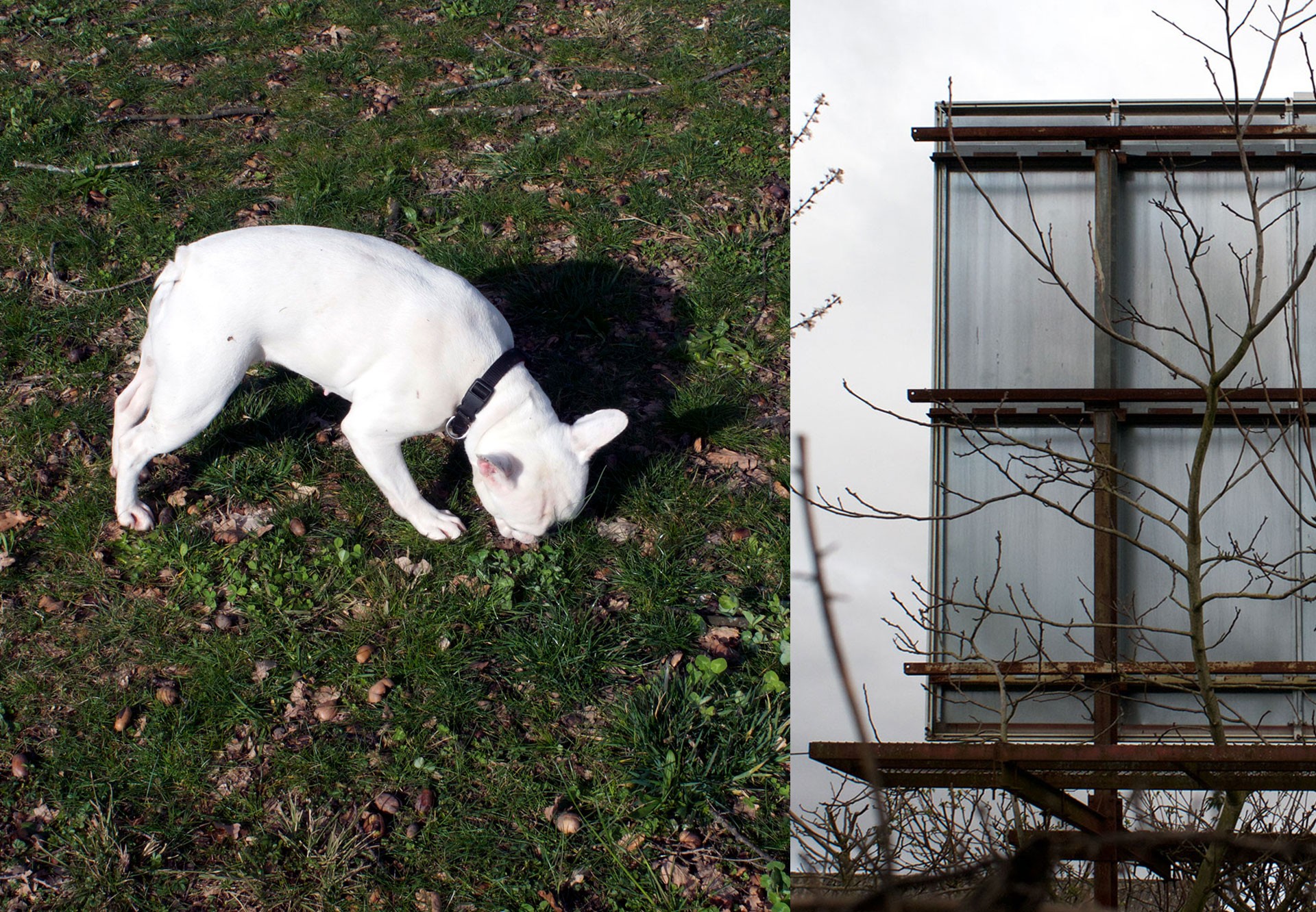 *Carnets de liaisons*, research residency, espace d'art contemporain Le Bel Ordinaire, Billère, 2019