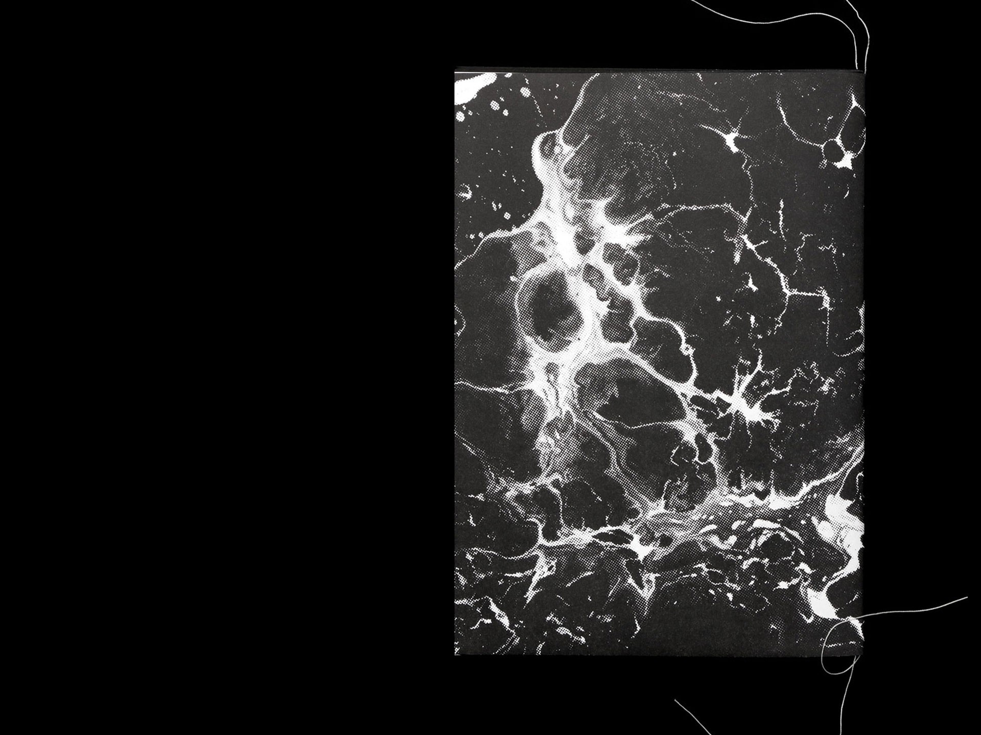 *Grey Area*, artist book, back cover, 16,5 × 23,5 cm, 54 p., Malat gallery, London, 2019