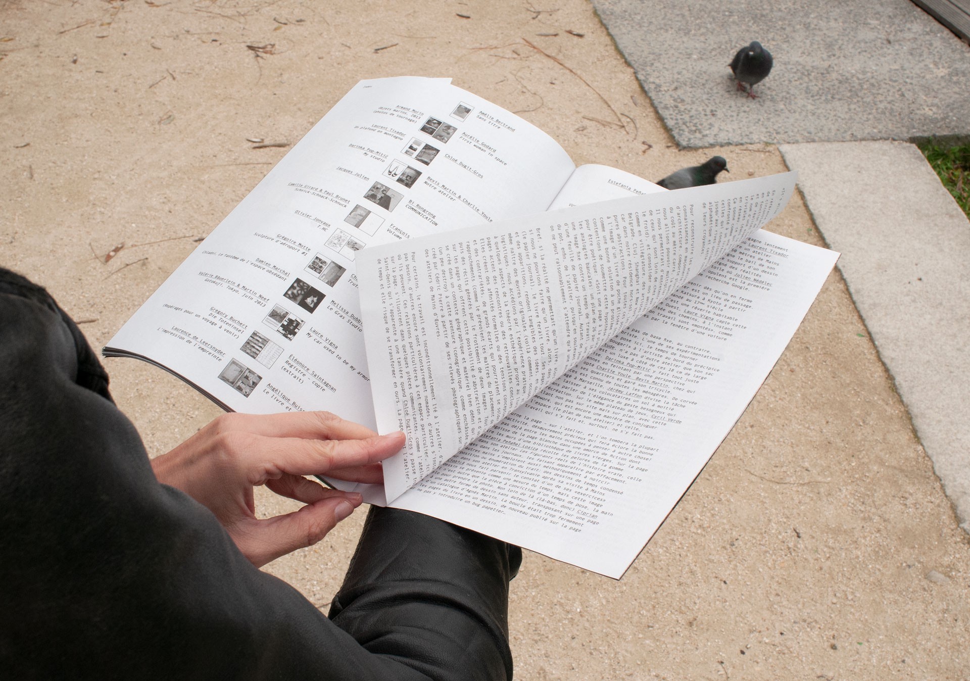 *Phoenix*, book, with Julie Portier, published by Lendroits éditions, Mains d'Œuvres, Saint-Ouen, 2014