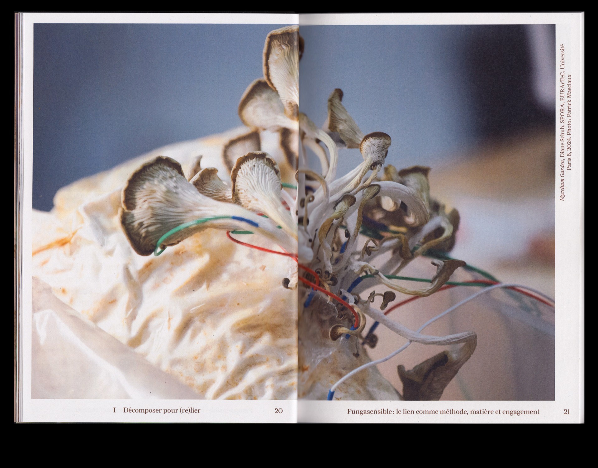 *Fungasensible*, Charlotte Janis, 14,8 × 21 cm, 100 p., ENSAPC, Cergy, 2025