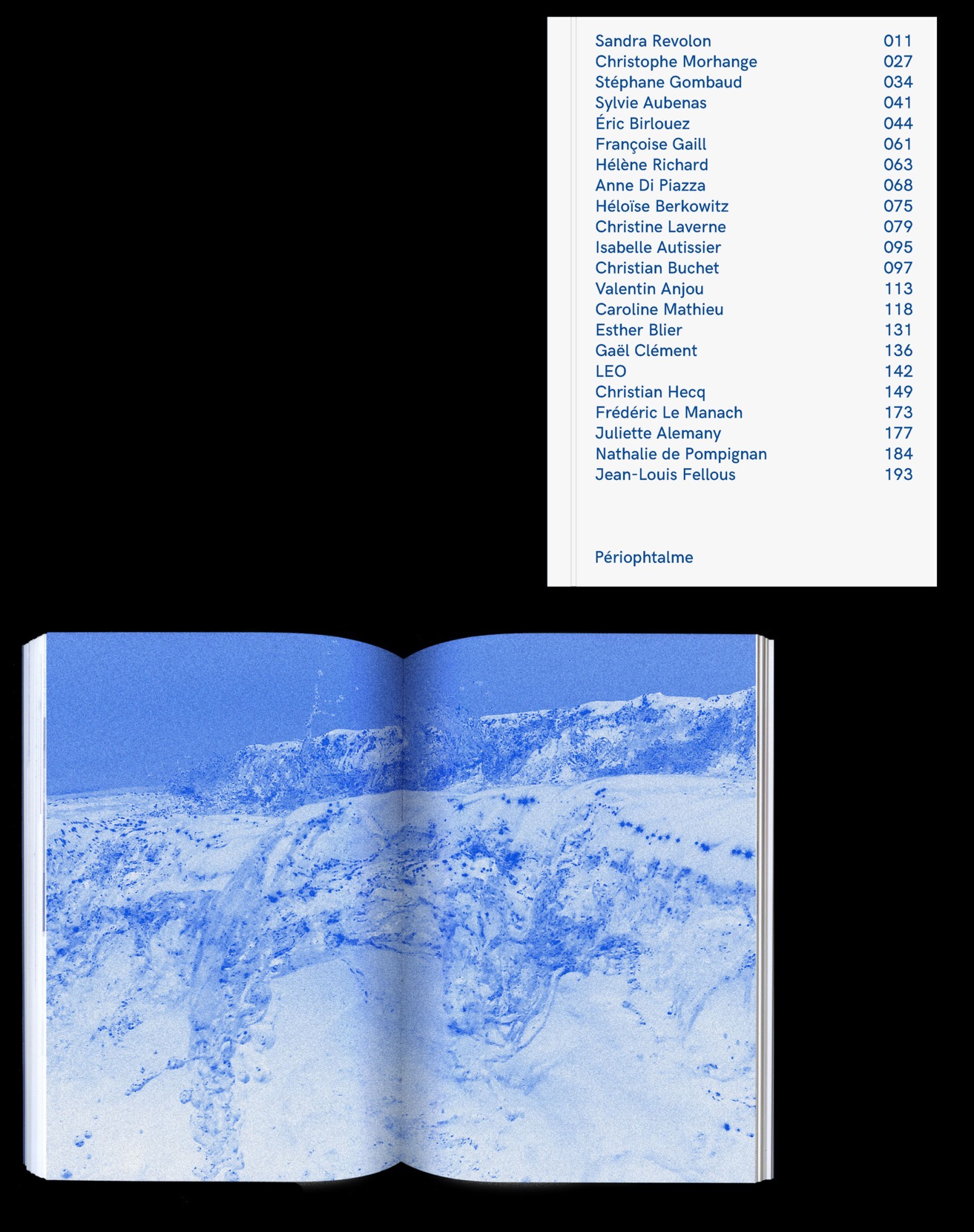 *Des Léviathans. Regards d'artistes et de chercheurs sur le rapport des sociétés à l'Océan*, book, 164 p., École des Mines, Paris, 2017