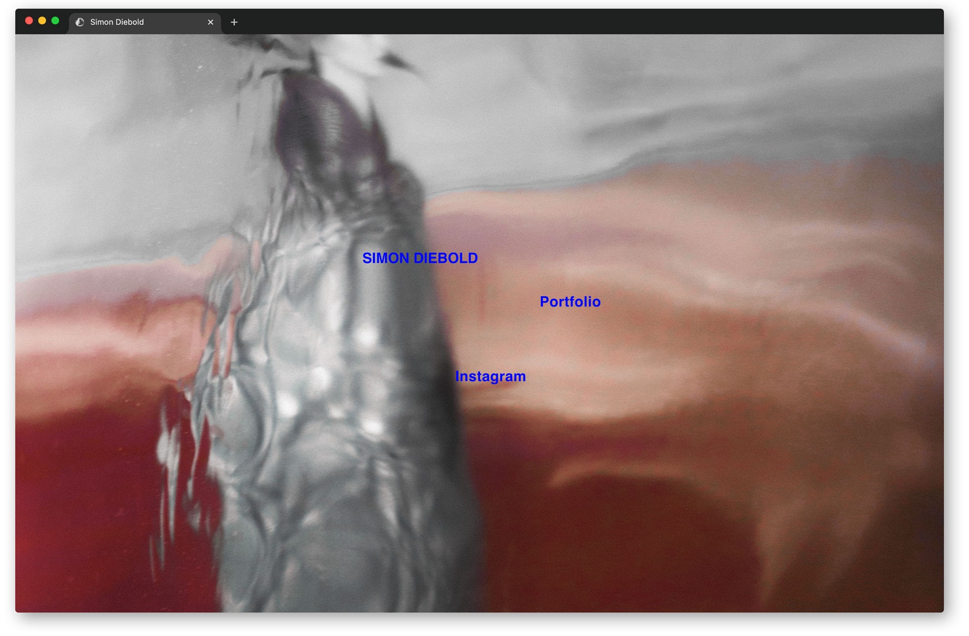 *Simon Diebold*, website (link: https://www.simon-diebold.com/ text: (link)), Paris, 2024